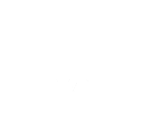 Iconique Revolutionary Beauty